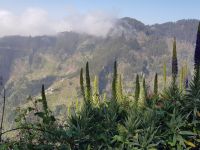 &copy; Steffi Lambrecht (Eberhardt TRAVEL)