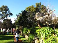 Führung im Palheiro Garden &ndash; &copy; Maria Goetz (Eberhardt TRAVEL)