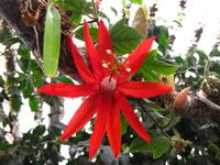 Im Orchideengarten &ndash; &copy; Maria Goetz (Eberhardt TRAVEL)