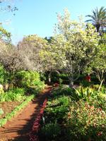 Im den Palheiro Gardens &ndash; &copy; Maria Goetz (Eberhardt TRAVEL)