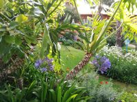 Quinta Splendida - Hotel im Botanischen Garten &ndash; &copy; Marieta Beck (Eberhardt TRAVEL)