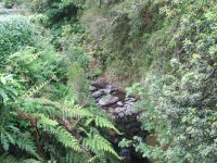 Ribeiro Frio &ndash; &copy; Marieta Beck (Eberhardt TRAVEL)