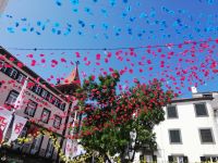 Funchal - überall Blümchen in der Luft &ndash; &copy; Marieta Beck (Eberhardt TRAVEL)