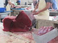 Tunfisch &ndash; &copy; Marieta Beck (Eberhardt TRAVEL)