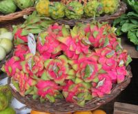 Was für Farben &ndash; &copy; Marieta Beck (Eberhardt TRAVEL)