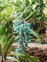 Jade-Wein &ndash; &copy; Marieta Beck (Eberhardt TRAVEL)