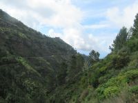 Der Weg zu Nonnental &ndash; &copy; Marieta Beck (Eberhardt TRAVEL)