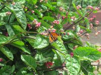 Hier ist er... &ndash; &copy; Marieta Beck (Eberhardt TRAVEL)