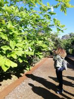 Teresa erklärt und die Pfalnzen &ndash; &copy; Marieta Beck (Eberhardt TRAVEL)