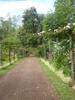  Paleiro Gardens &ndash; &copy; Heike Schlosser (Eberhardt TRAVEL)