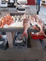 Tunfisch &ndash; &copy; Ulrike Blenke (Eberhardt TRAVEL)