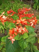 Botanischer Garten &ndash; &copy; Ulrike Blenke (Eberhardt TRAVEL)
