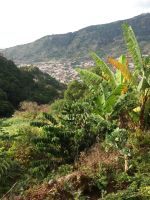 Levadawanderung &ndash; &copy; Ulrike Blenke (Eberhardt TRAVEL)