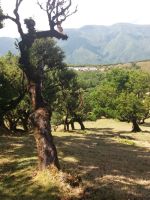 Hochebene &ndash; &copy; Ulrike Blenke (Eberhardt TRAVEL)