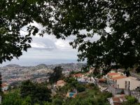 Funchal-Tropischer Garten-Blick auf die Stadt (24).jpg &ndash; &copy; Steffi Lambrecht (Eberhardt TRAVEL)