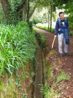1. Levada-Wanderung im Paradiestal (2).jpg &ndash; &copy; Steffi Lambrecht (Eberhardt TRAVEL)