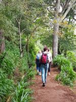 1. Levada-Wanderung im Paradiestal (4).jpg &ndash; &copy; Steffi Lambrecht (Eberhardt TRAVEL)