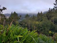 1. Levada-Wanderung im Paradiestal (7).jpg &ndash; &copy; Steffi Lambrecht (Eberhardt TRAVEL)