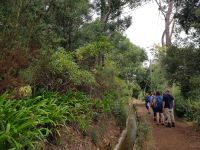 1. Levada Faial(21).jpg &ndash; &copy; Steffi Lambrecht (Eberhardt TRAVEL)