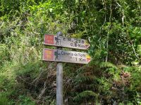 3.Wanderung (4).jpg &ndash; &copy; Steffi Lambrecht (Eberhardt TRAVEL)