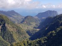 1.Levada-Wanderung in Ribeiro Frio (21).jpg &ndash; &copy; Steffi Lambrecht (Eberhardt TRAVEL)