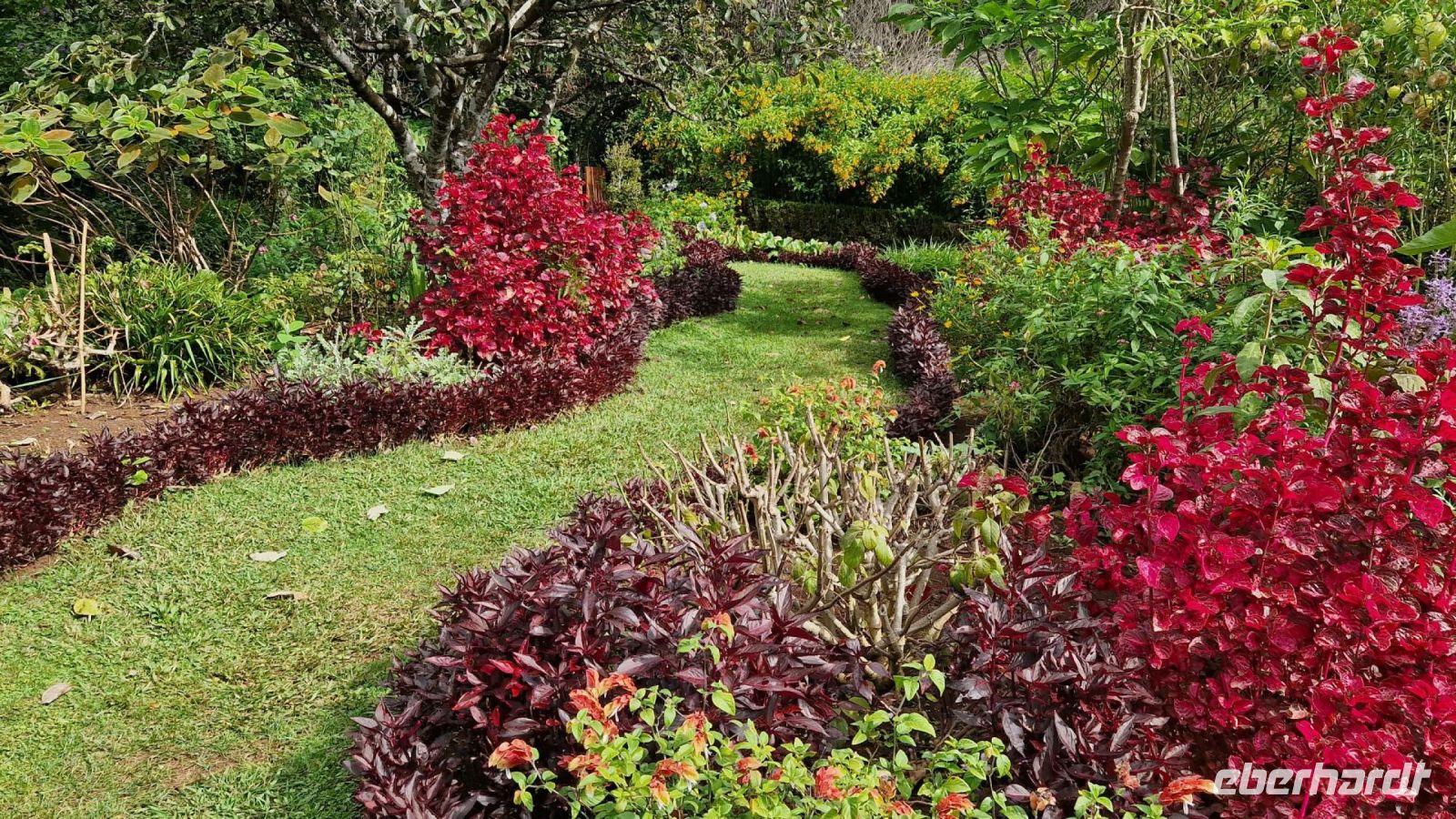 8-12_Palheiro Gardens.jpg &ndash; &copy; Wolf-Rüdiger Meyer (Eberhardt TRAVEL)