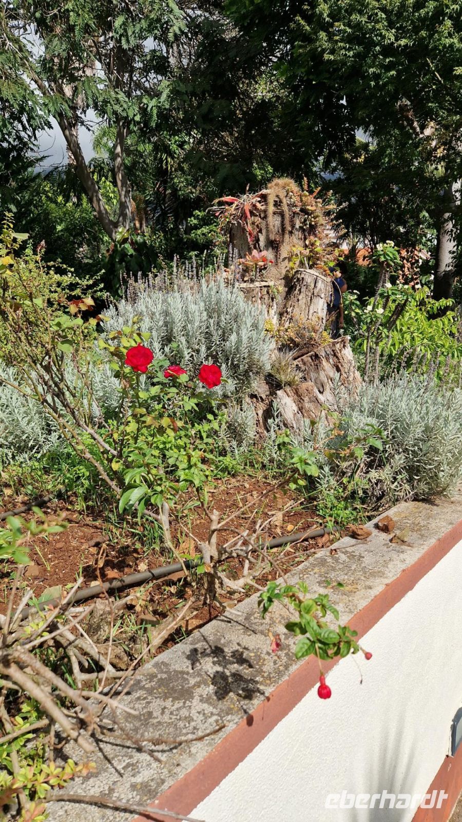 7-21_Esmeraldas Kräutergarten.jpg &ndash; &copy; Wolf-Rüdiger Meyer (Eberhardt TRAVEL)