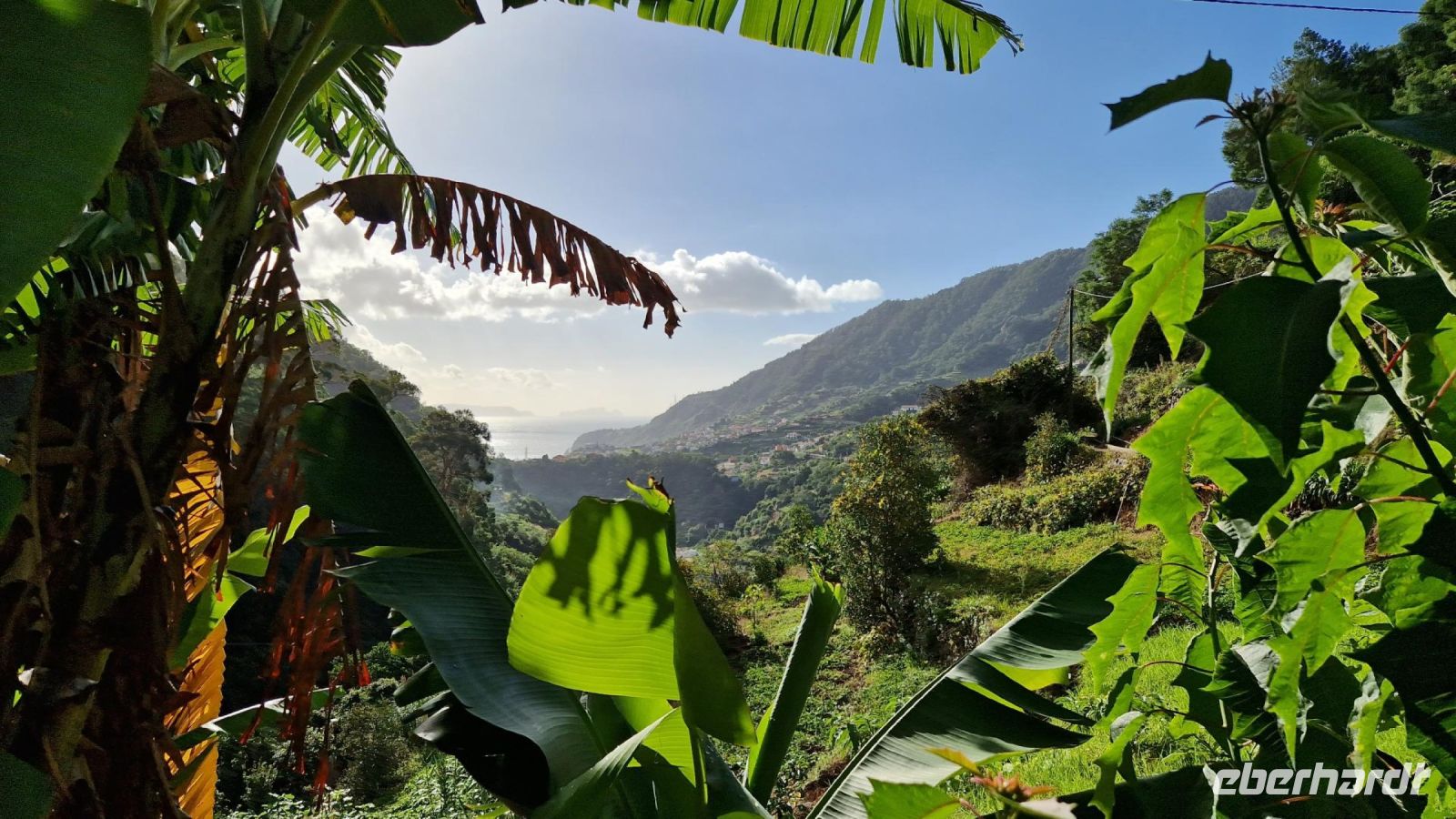 5-9_Levada-Wanderung Marocos.jpg &ndash; &copy; Wolf-Rüdiger Meyer (Eberhardt TRAVEL)