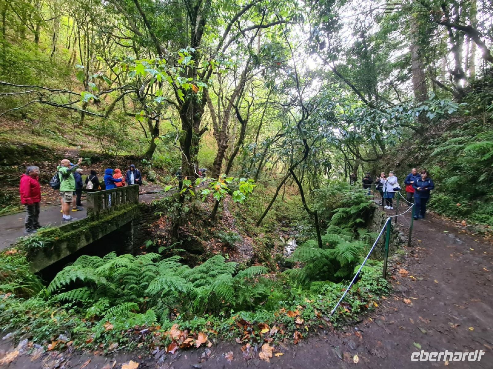 3-5-1_kleine Levada-Wanderung.jpg &ndash; &copy; Wolf-Rüdiger Meyer (Eberhardt TRAVEL)
