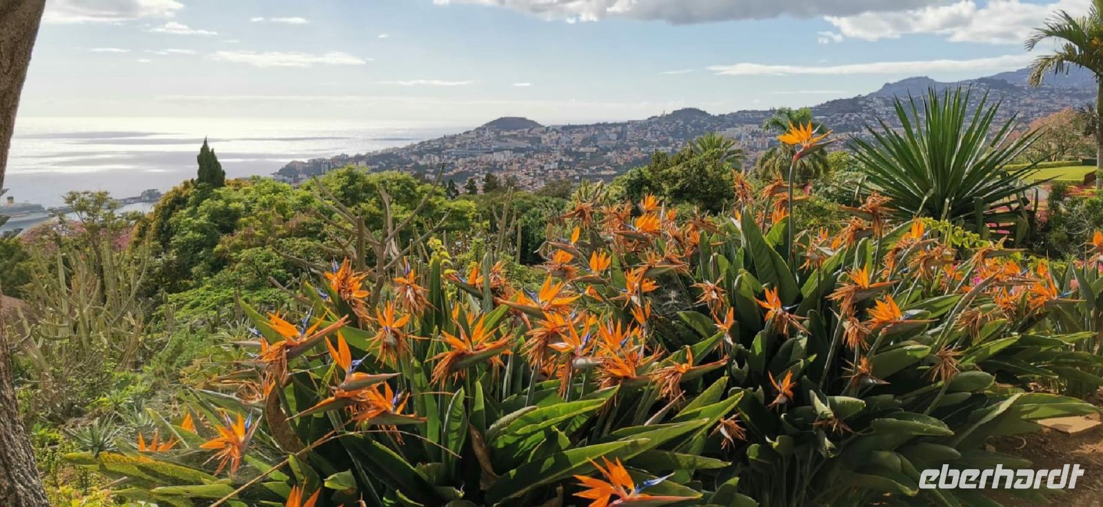 3-5-2_kleine Levada-Wanderung.jpg &ndash; &copy; Wolf-Rüdiger Meyer (Eberhardt TRAVEL)