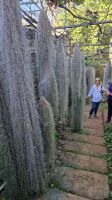 8-3_Orchideengarten Quinta da Boa Vista.jpg &ndash; &copy; Wolf-Rüdiger Meyer (Eberhardt TRAVEL)