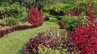 8-12_Palheiro Gardens.jpg &ndash; &copy; Wolf-Rüdiger Meyer (Eberhardt TRAVEL)