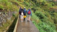5-2_Levada-Wanderung Marocos.jpg &ndash; &copy; Wolf-Rüdiger Meyer (Eberhardt TRAVEL)