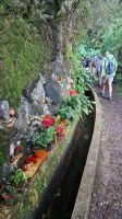 5-6_Levada-Wanderung Marocos.jpg &ndash; &copy; Wolf-Rüdiger Meyer (Eberhardt TRAVEL)