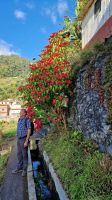 5-7_Levada-Wanderung Marocos.jpg &ndash; &copy; Wolf-Rüdiger Meyer (Eberhardt TRAVEL)