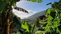 5-9_Levada-Wanderung Marocos.jpg
