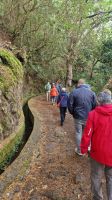 _kleine Levada-Wanderung.jpg &ndash; &copy; Wolf-Rüdiger Meyer (Eberhardt TRAVEL)