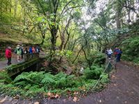 3-5-1_kleine Levada-Wanderung.jpg &ndash; &copy; Wolf-Rüdiger Meyer (Eberhardt TRAVEL)