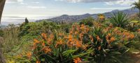 3-5-2_kleine Levada-Wanderung.jpg &ndash; &copy; Wolf-Rüdiger Meyer (Eberhardt TRAVEL)