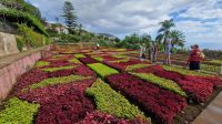 2-6_Botanischer Garten in Funchal.jpg &ndash; &copy; Wolf-Rüdiger Meyer (Eberhardt TRAVEL)