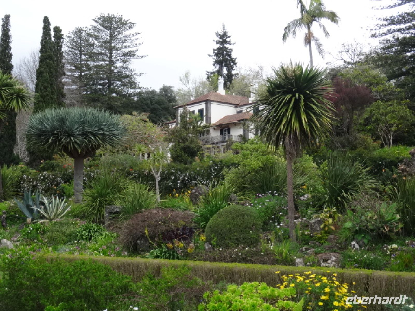 Quinta do Palheiro mit Blick auf das Herrenhaus &ndash; &copy; Hans-Joachim Trutz (Eberhardt TRAVEL)