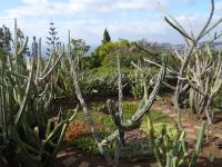 Botanischer Garten von Funchal &ndash; &copy; Hans-Joachim Trutz (Eberhardt TRAVEL)
