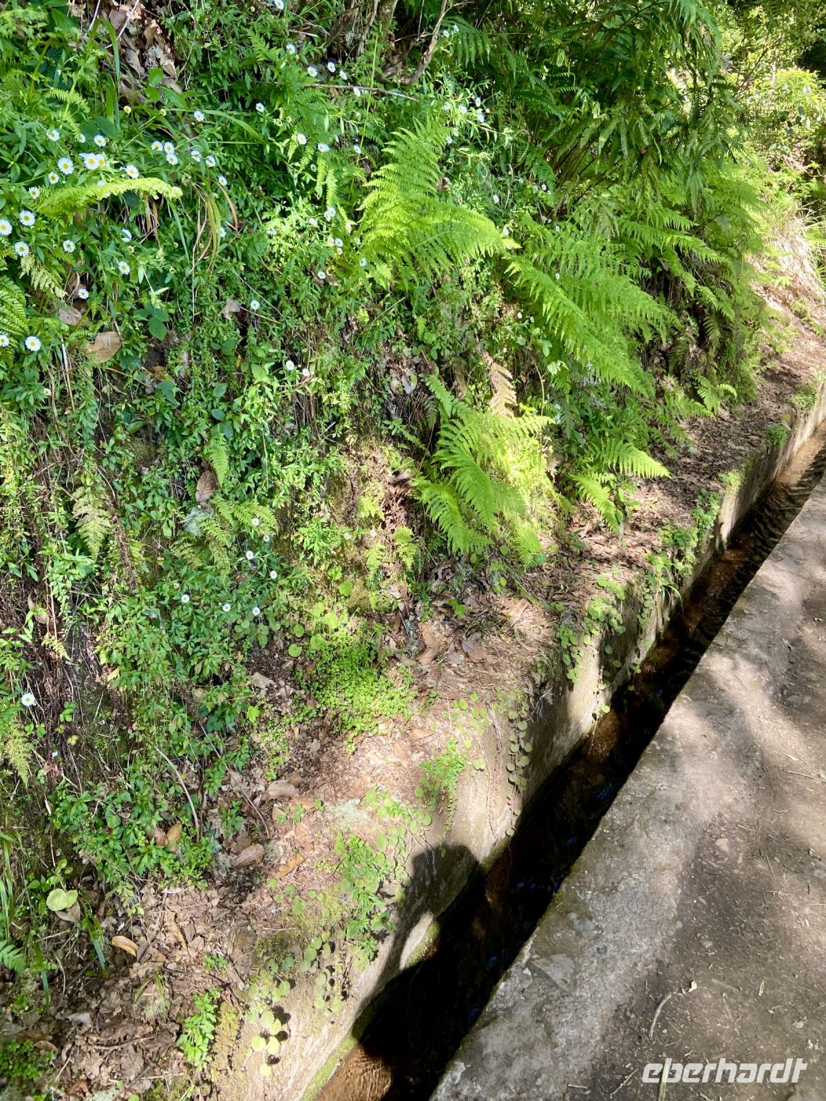 Levada Furado &ndash; &copy; Heike Wagner (Eberhardt TRAVEL)