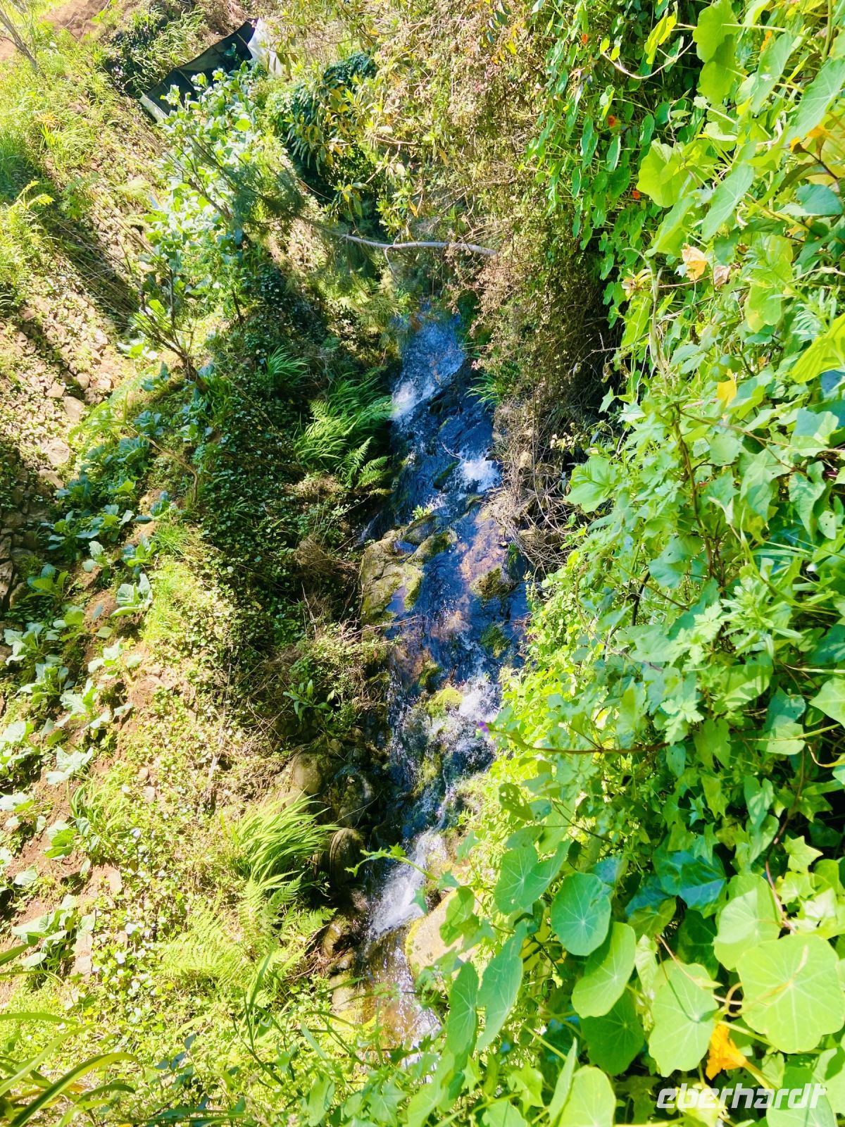 Bachlauf &ndash; &copy; Heike Wagner (Eberhardt TRAVEL)