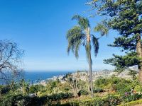 Blick auf Funchal &ndash; &copy; Heike Wagner (Eberhardt TRAVEL)