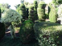Botanischer Garten von Funchal &ndash; &copy; Hans-Joachim Trutz (Eberhardt TRAVEL)