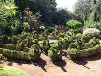 Blandy's Garten - Ziergewächse &ndash; &copy; Hans-Joachim Trutz (Eberhardt TRAVEL)