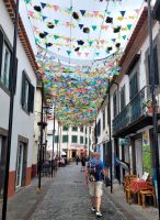 Funchal &ndash; &copy; Steffi Zimmermann (Eberhardt TRAVEL)