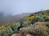 Pico do Areeiro &ndash; &copy; Steffi Zimmermann (Eberhardt TRAVEL)