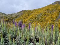 Pico do Areeiro &ndash; &copy; Steffi Zimmermann (Eberhardt TRAVEL)